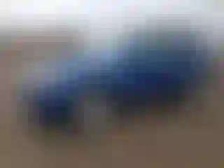 Vehicle Image- 2008 Ford Escape
