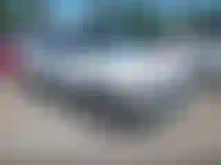 Vehicle Image- 2005 Ford Escape