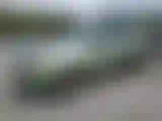 Vehicle Image- 2008 Ford Escape