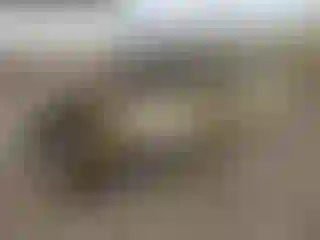 Vehicle Image- 2008 Ford Escape