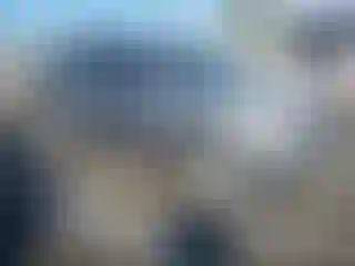 Vehicle Image- 2008 Ford Escape