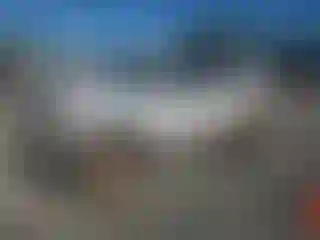 Vehicle Image- 2008 Ford Escape