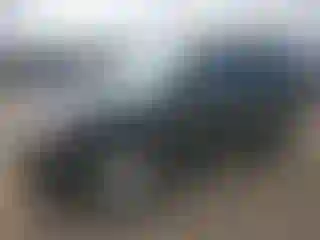 Vehicle Image- 2008 Ford Escape