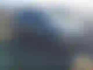 Vehicle Image- 2009 Ford Escape