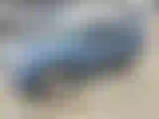 Vehicle Image- 2009 Ford Escape
