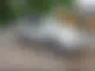 Vehicle Image- 2009 Ford Escape