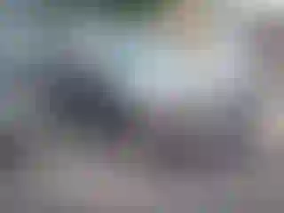 Vehicle Image- 2009 Ford Escape