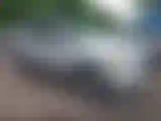 Vehicle Image- 2009 Ford Escape