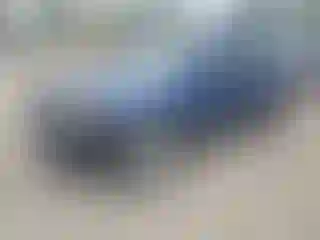 Vehicle Image- 2009 Ford Escape