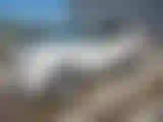 Vehicle Image- 2009 Ford Escape