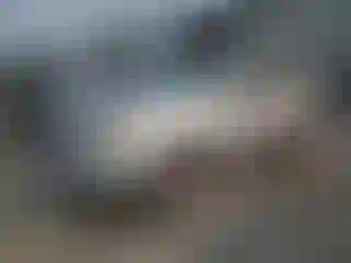 Vehicle Image- 2009 Ford Escape