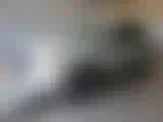 Vehicle Image- 2009 Ford Escape