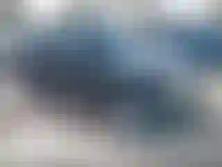 Vehicle Image- 2009 Ford Escape