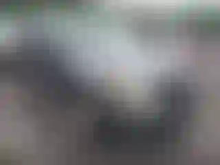 Vehicle Image- 2009 Ford Escape