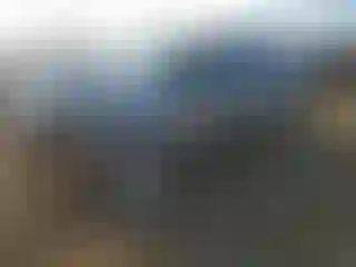 Vehicle Image- 2009 Ford Escape