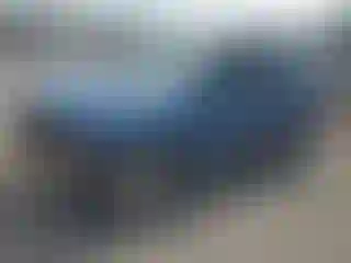 Vehicle Image- 2009 Ford Escape