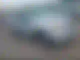 Vehicle Image- 2009 Ford Escape