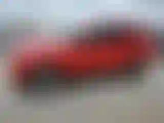 Vehicle Image- 2009 Ford Escape