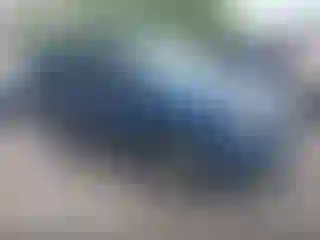 Vehicle Image- 2009 Ford Escape