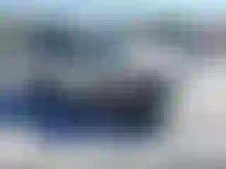 Vehicle Image- 2009 Ford Escape