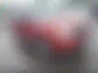 Vehicle Image- 2009 Ford Escape