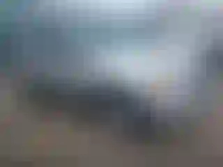 Vehicle Image- 2009 Ford Escape