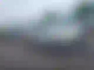 Vehicle Image- 2009 Ford Escape