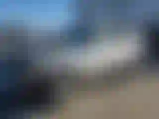 Vehicle Image- 2009 Ford Escape