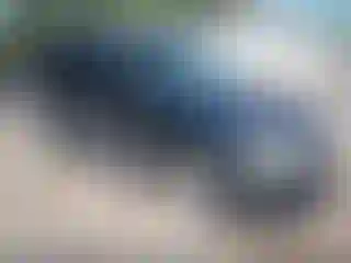 Vehicle Image- 2007 Ford Escape