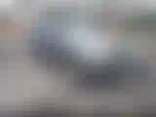 Vehicle Image- 2008 Ford Escape
