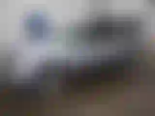 Vehicle Image- 2008 Ford Escape