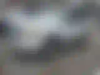 Vehicle Image- 2008 Ford Escape