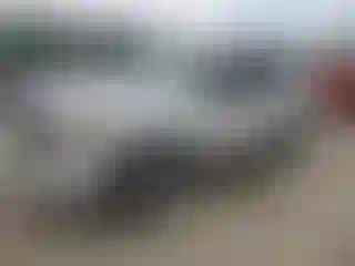 Vehicle Image- 2008 Ford Escape