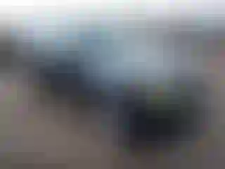 Vehicle Image- 2008 Ford Escape