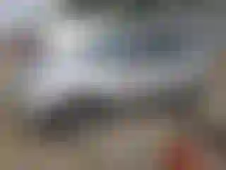Vehicle Image- 2008 Ford Escape