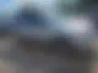 Vehicle Image- 2006 Ford Escape