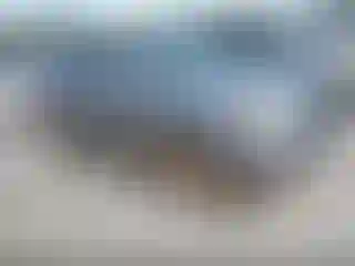 Vehicle Image- 2008 Ford Escape
