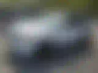 Vehicle Image- 2008 Ford Escape