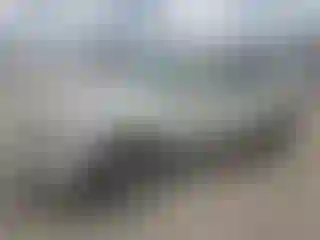 Vehicle Image- 2008 Ford Escape