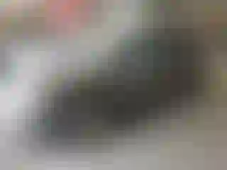 Vehicle Image- 2005 Ford Escape