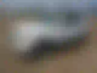 Vehicle Image- 2008 Ford Escape