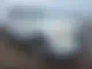 Vehicle Image- 2008 Ford Escape
