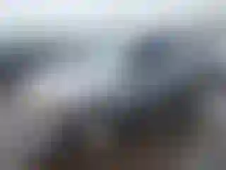Vehicle Image- 2008 Ford Escape