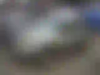 Vehicle Image- 2005 Ford Escape