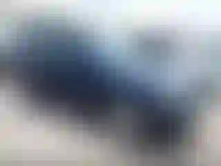 Vehicle Image- 2003 Ford Escape