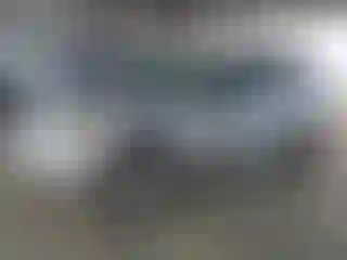 Vehicle Image- 2004 Ford Escape