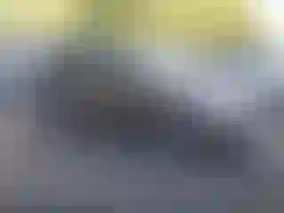 Vehicle Image- 2003 Ford Escape