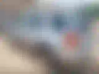 IMPORTOWO.pl