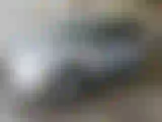 Vehicle Image- 2007 Ford Escape