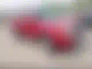 Vehicle Image- 2008 Ford Escape